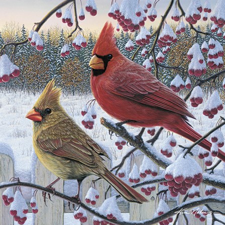 Winter Cardinals by Kim Norlien art print