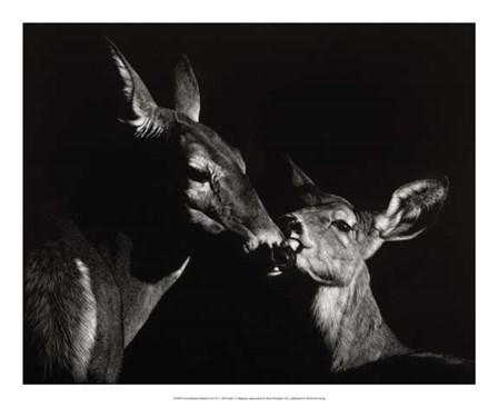 Scratchboard Mother Love #2 by Julie Chapman art print