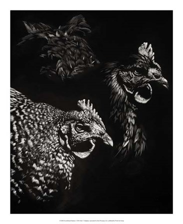 Scratchboard Skeptics by Julie Chapman art print