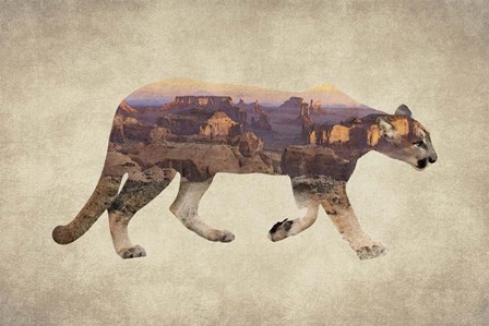 Arizona Mountain Lion by Color Me Happy art print