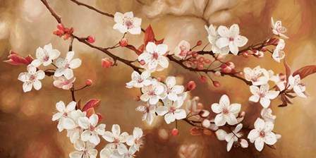 Sakura by Jenny Thomlinson art print