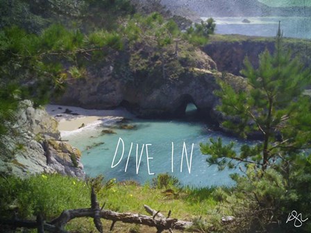 Dive In by Kimberly Glover art print