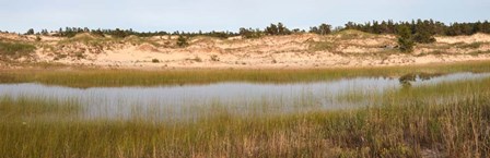 Sand Dunes and Marsh, Michigan by Panoramic Images art print