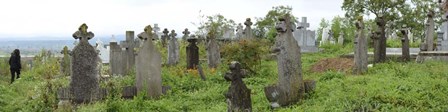 View of Cemetery, Bradu, Arges County, Romania by Panoramic Images art print