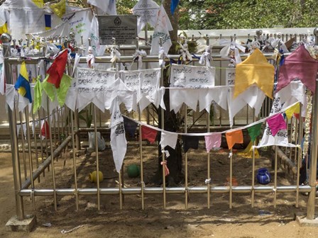Prayer flags at the Great Monastery, Anuradhapura, North Central Province, Sri Lanka by Panoramic Images art print