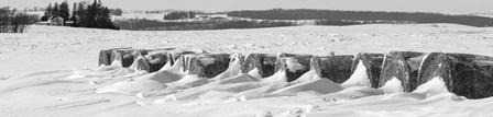 Line of bales drifted with snow in Clayton County, Iowa by Panoramic Images art print