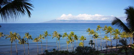 Palm Trees on the Beach, Maui, Hawaii by Panoramic Images art print