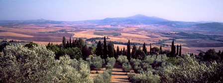 View of a Landscape, Tuscany, Italy by Panoramic Images art print