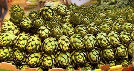 Artichokes, Colts Neck Township, NJ by Panoramic Images art print