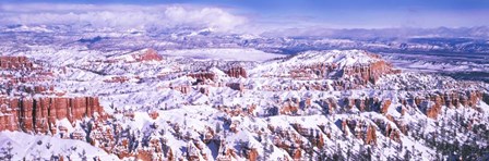 Snow Covered Bryce Canyon, Utah by Panoramic Images art print