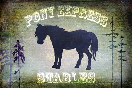 Country Horse I by LightBoxJournal art print