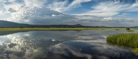 Lake Cuitzeo, Michoacan State, Mexico by Panoramic Images art print