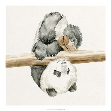 Baby Panda II by Melissa Wang art print