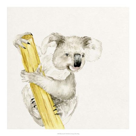Baby Koala II by Melissa Wang art print
