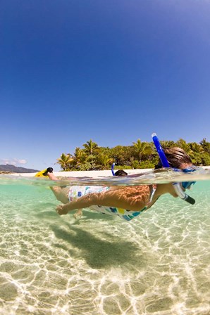 Snorkeling, Beqa Island, Fiji by Michele Benoy Westmorland / Danita Delimont art print