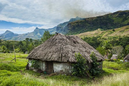 Traditional thatched roofed huts in Navala in the Ba Highlands, Fiji by Michael Runkel / DanitaDelimont art print