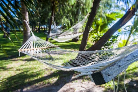 Hammock on the beach, Nacula island, Yasawa, Fiji, South Pacific by Michael Runkel / DanitaDelimont art print