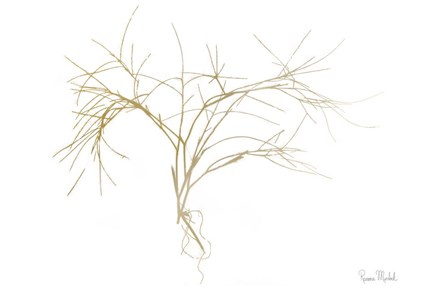 Twiggy Algae Gold on White by Ramona Murdock art print