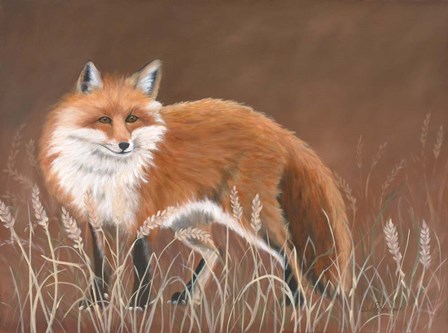Red Fox by Julie Peterson art print