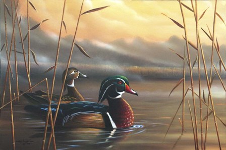 Wood Ducks by Geno Peoples art print