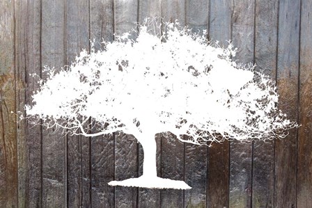 White Tree on Wood by Ramona Murdock art print