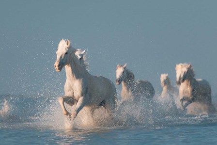 Angels Of Camargue 2 by Rostovskiy Anton art print