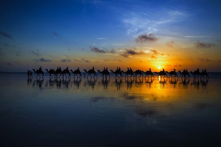 Sunset Camel Ride by Louise Wolbers art print