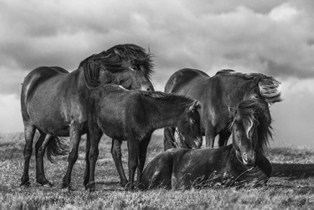 Happy Family by Bragi Ingibergsson art print