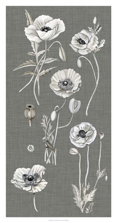 Poppy Array I by Naomi McCavitt art print