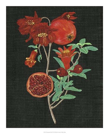Pomegranate Study I by Melissa Wang art print