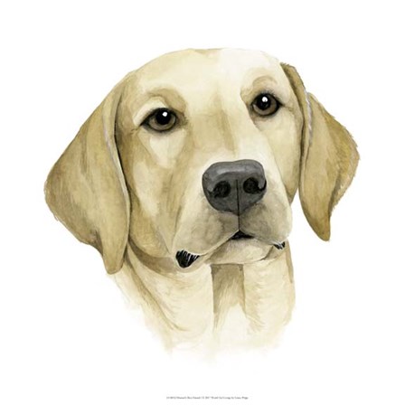 Human&#39;s Best Friend I by Grace Popp art print