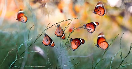 Family by Mustafa Ozturk art print