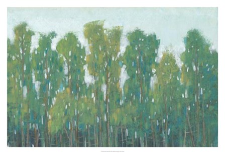 Forest Green II by Timothy O&#39;Toole art print