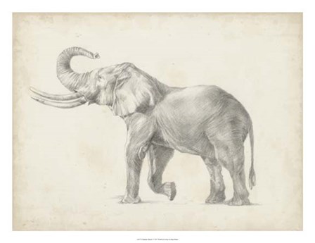 Elephant Sketch I by Ethan Harper art print