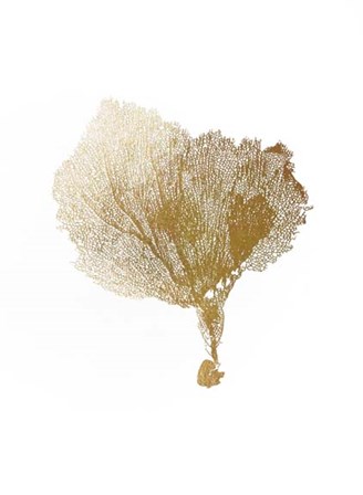 Gold Foil Sea Fan IV by Vision Studio art print