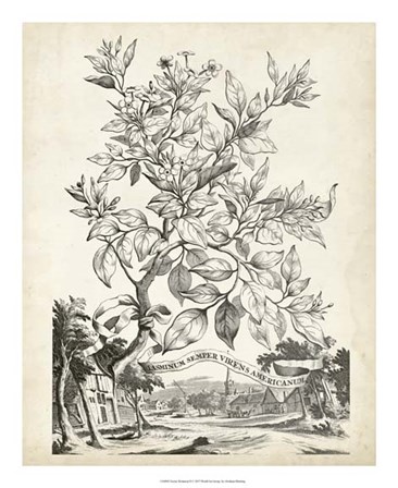 Scenic Botanical II by Abraham Munting art print