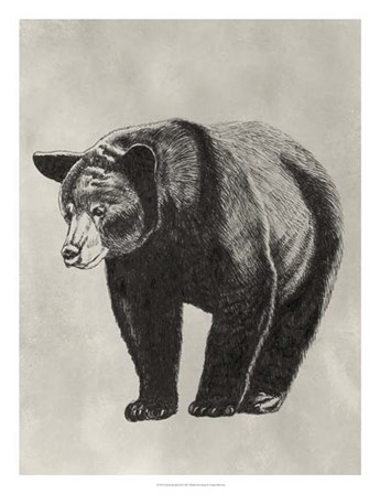 Pen &amp; Ink Bear II by Naomi McCavitt art print