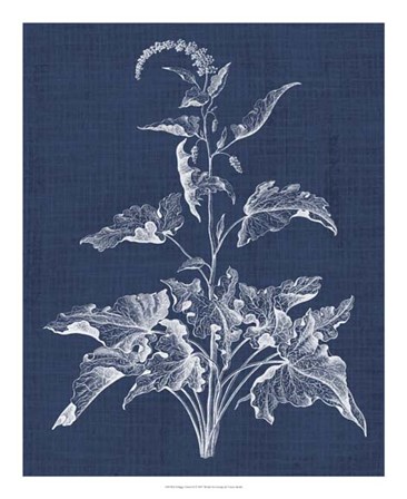 Foliage Chintz II by Vision Studio art print