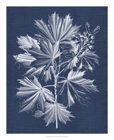 Foliage Chintz V by Vision Studio art print