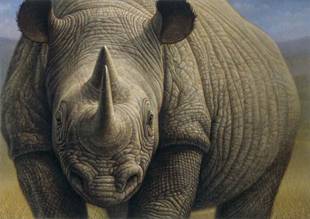 Rhinos by Dan Craig art print