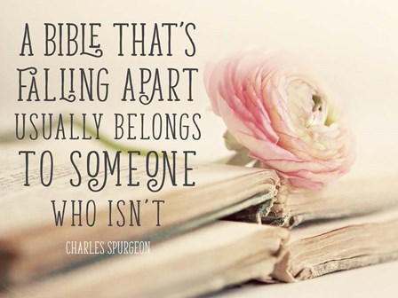 Bible Quote by Sarah Gardner art print