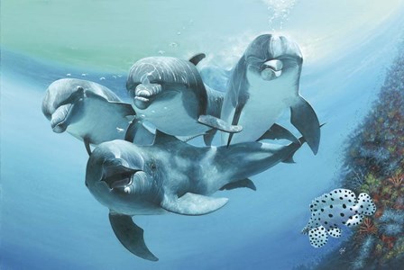 Dolphins by Durwood Coffey art print