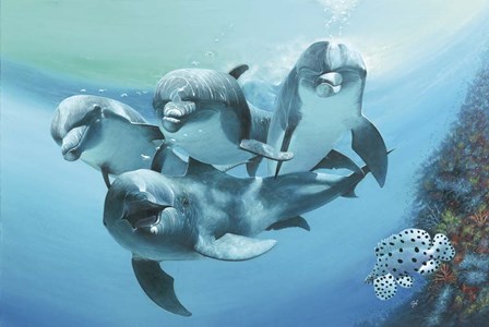 Dolphins by Durwood Coffey art print