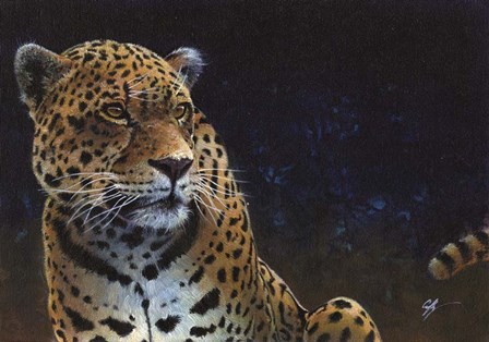 Jaguar by Durwood Coffey art print