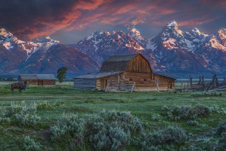 Grand Teton Mormon Barn At Sunrise by Galloimages Online art print