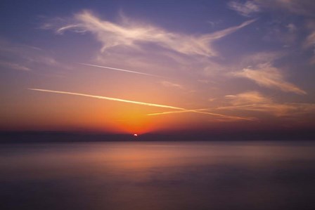 Timid by Giuseppe Torre art print