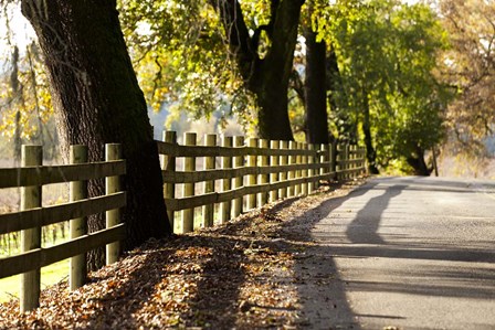 Roadside Fence by Lance Kuehne art print