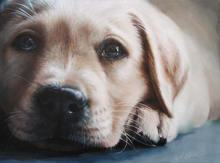 Dog&#39;s-Eye View by Linda Daniels art print