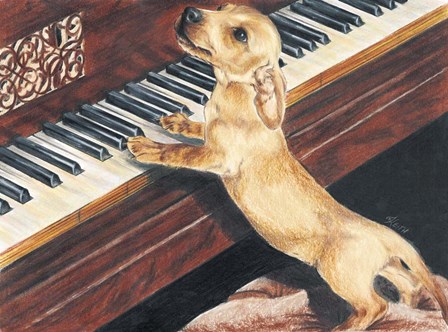 Dachsund Playing Piano by Barbara Keith art print