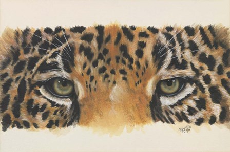 Eye-Catching Jaguar by Barbara Keith art print